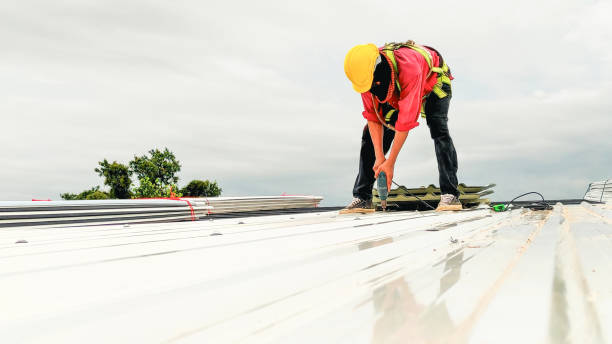 Best Sheet Metal Roofing  in Yuma, AZ